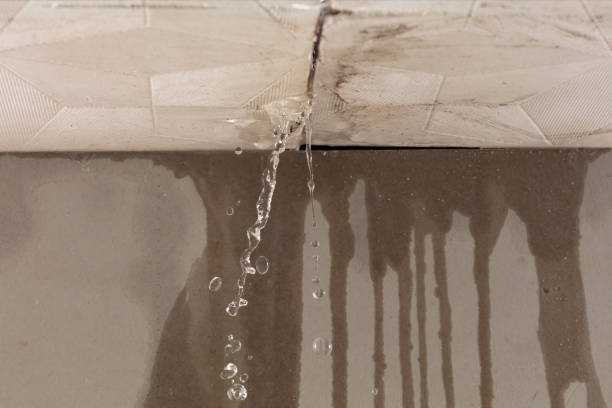 Professional Sewage Cleanup technician working in Spring, TX
